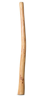 Medium Size Natural Finish Didgeridoo (TW1257)
